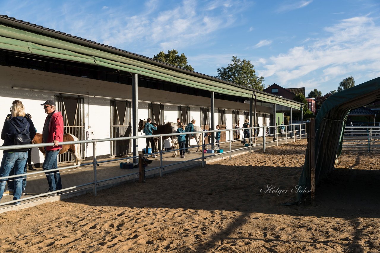 Bild 2 - Pony Akademie Turnier